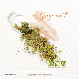 【正心堂】 薄荷葉 75公克 薄荷 檢驗合格 食品級 乾燥薄荷 花草茶 花茶批發 天然花草茶 草本茶