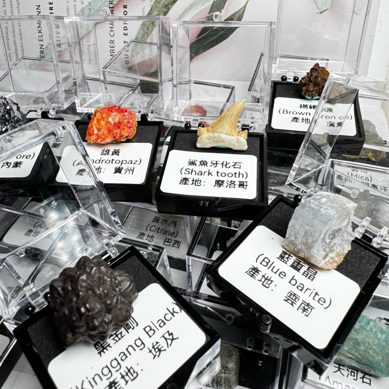 天然原礦盒 24款一次滿足😻原礦盒 紫水晶 黃水晶 瑩石 藍重晶 雲母 珊瑚 孔雀石 弓石燕 天河石 黃鐵礦 葡萄瑪瑙