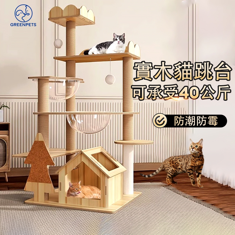 2025最新款⭐貓跳台 頂天立地貓爬架 貓爬梯 貓咪跳台 爬架貓窩 免打孔貓爬架 貓咪跳台【保固一年】台灣出貨（免運）