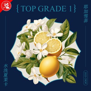『二巷』☆甜蜜花香☆衣索比亞 耶加雪菲 夏茉卡 水洗 G1 半磅裝 精品咖啡豆 接單後烘焙 可手沖義式美式冰滴