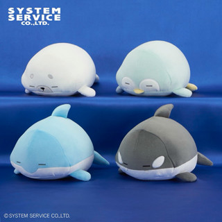 💐FANS 正版授權 日本景品 水族館 企鵝 28cm 娃娃 軟綿綿 睡覺 玩偶 趴娃 海洋生物【2025全新日版】