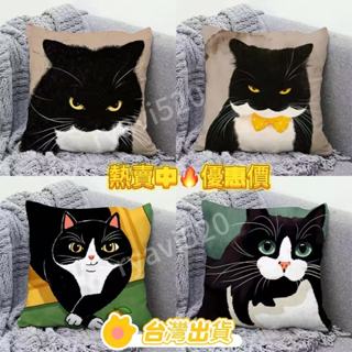 🔥臺灣出貨🔥 下殺價 卡通奶牛貓抱枕 枕頭套 抱枕 靠背枕 靠枕 沙發枕 靠墊 抱枕套 沙發靠枕 沙發抱枕 枕頭 腰墊