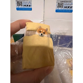 JXK 柴犬 橘貓 貓 狗 單身狗 嗜睡貓 可愛 公仔 模型 模擬 冰箱貼 扭蛋 模型 盒玩