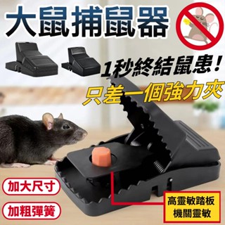 臺灣出貨🔥可開發票🔥老鼠夾 高靈敏老鼠籠 全自動扣鼠器 捕鼠籠 家用 可視捕鼠器 老鼠剋星 滅鼠 強力捕鼠夾 加厚材質