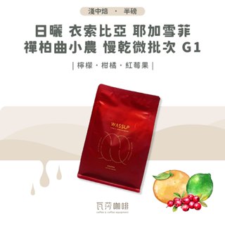 【門市熱銷TOP】日曬 衣索比亞 耶加雪菲 禪柏曲小農 慢乾微批次 G1 兩次手選挑豆 100%阿拉比卡精品咖啡豆