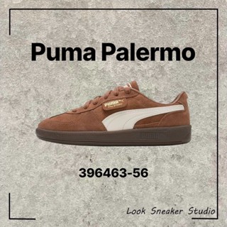 路克 Look👀 Puma Palermo 咖啡 可可色 美拉德棕 棕色 金標 麂皮 休閒鞋 396463-56