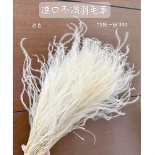 出清最低價！！🌸乾燥花花材 進口不凋羽毛草 乾燥花材 乾燥花束 不凋花束 花圈 花冠 線條感花材 永生花材