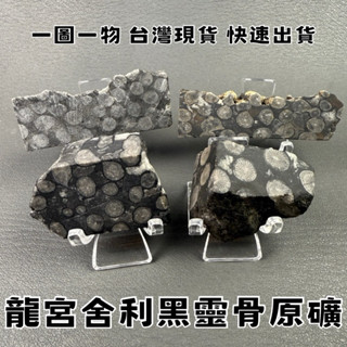 【晶星】 泰國龍宮舍利 黑靈骨原礦 （附座） 靈骨舍利原礦 靈骨舍利 原礦 礦石 開運擺件 開運小物 避邪 擋煞