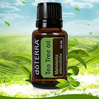多特瑞 茶樹精油15ml doTERRA 上海公司貨 無割碼 最新效期