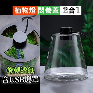 透氣孔可調大小【可悶養X內建植物燈】生態瓶 花瓶 光罩款生態瓶 苔蘚 室內植物 生態缸 微景觀 玻璃花器 苔蘚生態瓶
