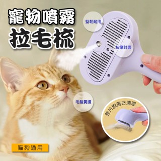 臺灣現貨（隔日出貨）【有熊出沒】寵物噴霧拉毛梳/貓狗適用 H0037 寵物梳 清潔梳 拉毛梳