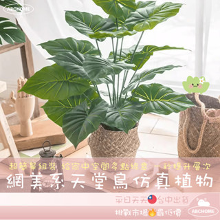 網美 模擬盆栽 景觀植物 龜背葉 仿真植物 天堂鳥 植物 室內植物 盆栽 裝飾 盆栽裝飾 植物裝飾 北歐裝飾 居家裝飾