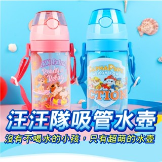 550ml【臺灣現貨】彈蓋吸管水壺 Tritan材質水壺 透明水壺 兒童水壺 矽膠吸管 背帶 汪汪隊 阿奇 天天毛毛