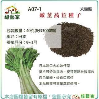【綠藝家】大包裝A07-1.嫩莖萵苣種子40克(約33000顆) 日本進口大心妹仔菜,葉片可分次採收 葉菜類大包裝