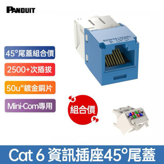 Panduit Cat.6 Cat6A 資訊插座 網路插座 Keystone