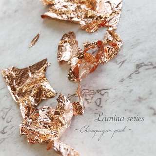 日本Novel Lamina series-champagne pink F617 (no.22)