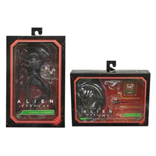 正版 全新 現貨 合售 NECA 異形 羅穆路斯 Alien: Romulus 7吋 灼傷異形 可動人偶+配件包