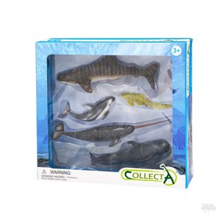 【永曄】collectA 海洋動物禮盒組(5入)~英國高擬真模型-R89671