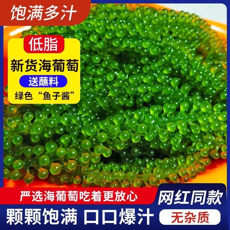 海葡萄 100g/袋 海藻菜 海菜 送醬料