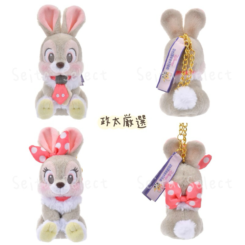【現貨】日本 東京 迪士尼 商店 新角色 大學熊 新朋友 兔兔YEKC兔 EIN兔 玩偶 吊飾 日本購入 空運寄回✈️