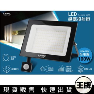 王牌｜LED感應投射燈/全電壓 戶外感應燈 人體感應 工業燈 庭院燈 花園燈 插電感應燈