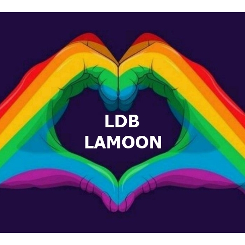 現貨🌈 LDB 🌈 LAMOON 🌈 FD 🌈 LDB QUEEN 轉變 🏳️‍⚧️ 跨 性別 🏳️‍⚧️ 轉變