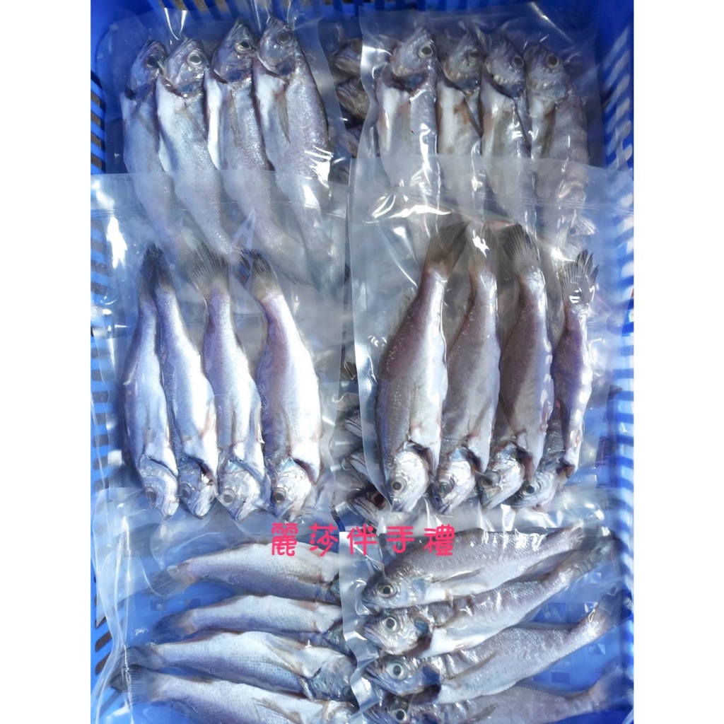 現貨【澎湖現捕】澎湖正宗野生小黑喉 黑喉魚 黑喉(4尾裝)