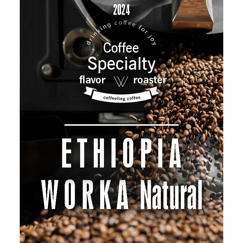 咖啡林‧衣索比亞‧沃卡‧[淺烘焙]半磅-Gedeo產區‧ 日曬咖啡GR.1