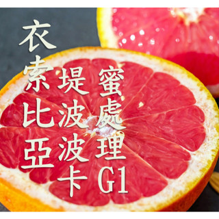 (2024) 獵豆工坊🐆衣索比亞 谷吉 烏拉嘎 提波波卡 蜜處理G1 咖啡生豆 500g