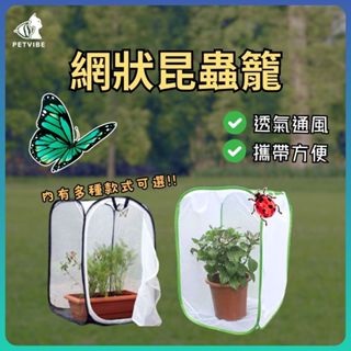 【現貨】昆蟲飼養箱 網籠 飼養籠 昆蟲網籠 飼養箱 網箱 葉脩 棉桿 鍬形蟲 竹節蟲 螳螂 蝴蝶 螽斯 甲蟲 獨角仙