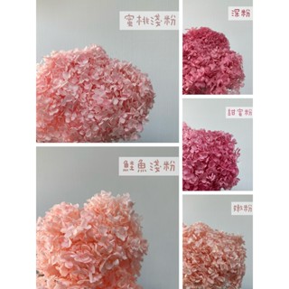 花藝夢*進口 帶梗安娜繡球花 永生繡球花 *整枝販售* 木繡球花 乾燥花 永生花 永生花 不凋花 配花 主花