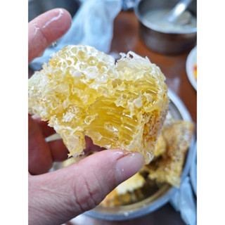 大樹玉荷包荔枝蜂蜜 ❤️娃娃團購網❤️