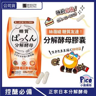 【SVELTY 絲蓓緹 分解酵母膠囊 120粒/盒】糖值友達 分解酵母膠囊 正宗日本分解酵母 外食必備 日本暢銷