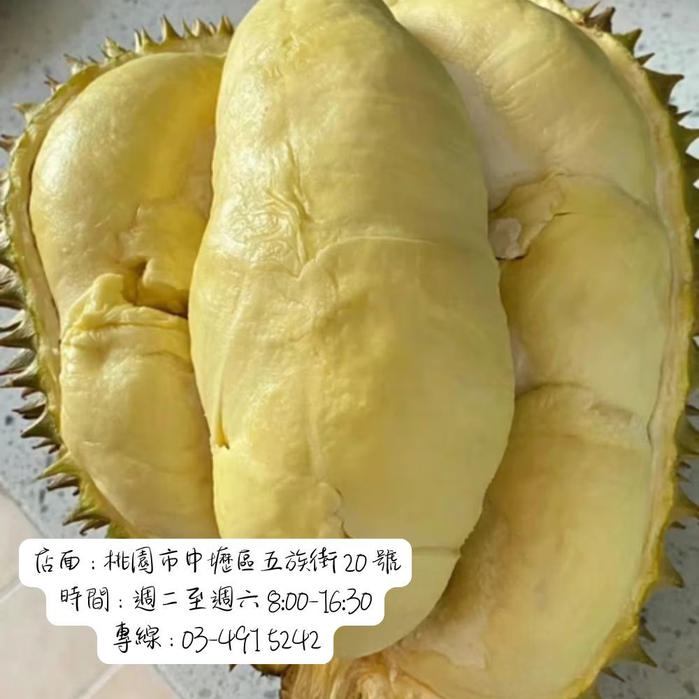 『安心鮮果批發購』-【泰國】"黑象"金枕頭榴槤