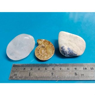 (礦標)水晶x1+ 鸚鵡螺化石x1+藍紋石x1
