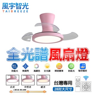 【風宇智光】隱形吸頂風扇燈 吸頂吊扇燈 全光譜護眼吸頂風扇燈 大風力變頻吸頂風扇燈 餐廳客廳隱形吸頂吊扇燈 HC風扇燈