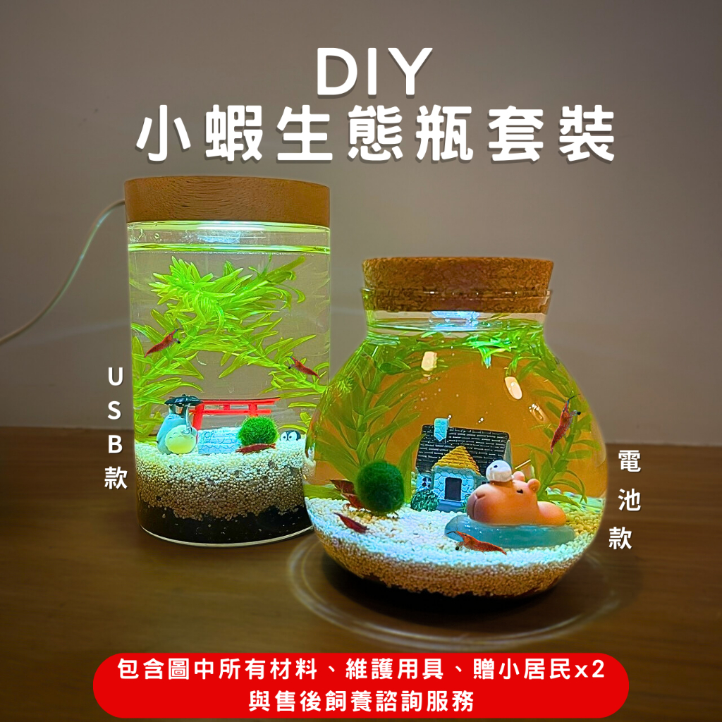 《免運 台灣現貨》小威DIY水草米蝦生態瓶套裝 生態瓶 辦公室小物 生態瓶蝦 桌上小物 龍貓 景觀生態瓶 生態球蝦