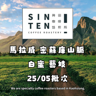 馬拉威 密蘇庫山脈 白蜜 藝妓 25/05批次 *蜜桃花橙【每包500公克】【興田咖啡生豆】 精品咖啡生豆 零售咖啡生豆