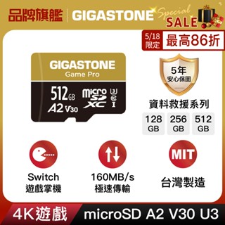 【GIGASTONE】4K遊戲記憶卡512G/256G/128G A2 V30｜臺灣製造/Switch/microSD