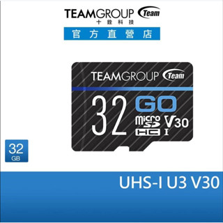 十銓TEAM-GO SDXC UHS-I U3 V30 運動攝影記憶卡【32 GB】無轉接卡