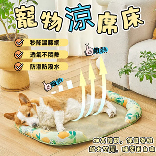 ✨寵物涼蓆 降溫 寵物睡窩 狗狗涼墊 寵物涼墊 寵物涼蓆 寵物床 涼墊 床墊 沙發 涼蓆 貓窩 寵物 貓咪 寵物墊 狗窩