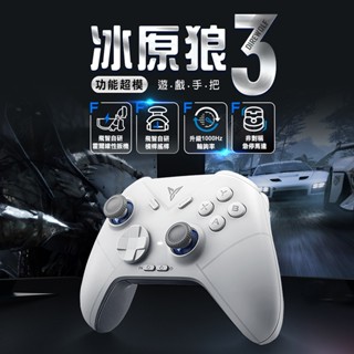 FLYDIGI 飛智 冰原狼3 槓桿搖桿 遊戲手把 支援Switch Steam 無線手把 電腦手把 PC手把 荒野