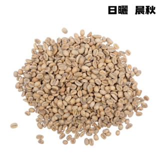 生豆專區｜激安豆鋪 衣索比亞 西達摩 晨秋 日曬 G1 500公克｜咖啡豆、熟豆、生豆、單品咖啡豆、莊園咖啡、手沖