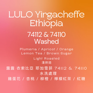 【IF Coffee Roasters】衣索比亞 耶加雪菲 露露 LULO 水洗 咖啡豆 濾掛耳掛 手沖咖啡 咖啡豆