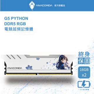 ANACOMDA 巨蟒 G5 DDR5 RGB 6000 32GB (16GBX2) 桌上型 記憶體 芊霓雪 NINI