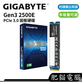 GIGABYTE 技嘉 Gen3 2500E 500G 1TB PCIe 3.0 m.2 2280 SSD 固態硬碟