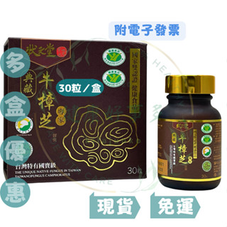 【現貨免運】💊狀元堂 草地狀元 典藏牛樟芝膠囊（３０／盒）#江宏恩推薦#雙認證#狀元堂