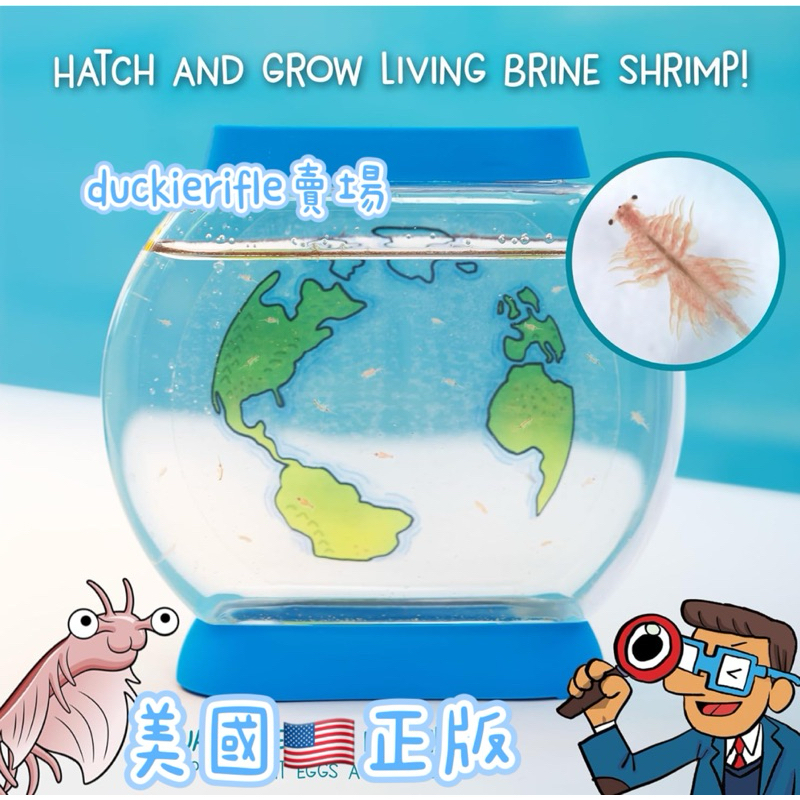 現貨 海猴寶寶 美國正版 世界地圖 Sea Monkey 魚缸 飼養
