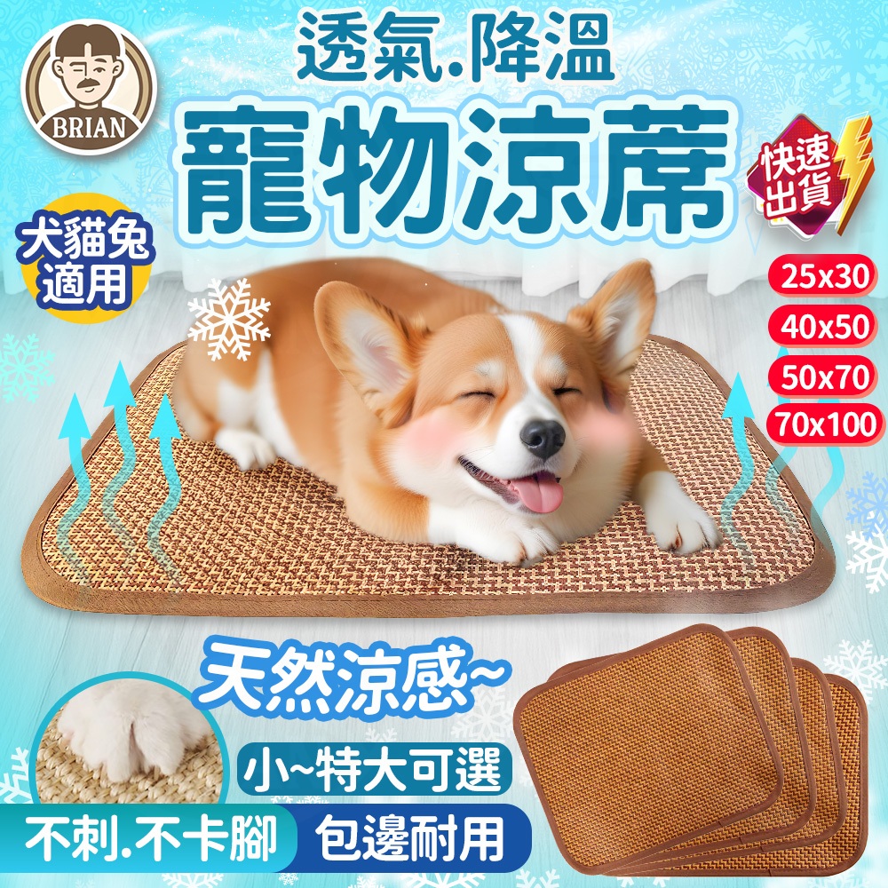 寵物涼蓆【布萊恩👨🏻隔日到貨】寵物涼席 狗狗睡墊 冰墊 寵物涼墊 狗窩墊 藤席墊 寵物床墊 狗狗涼墊 涼感墊 寵物睡墊