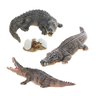 【黑鱷 鱷魚】微型動物零件 DIY零件 園藝裝飾 花器 花盆 景品 微景觀公仔 園藝 多肉 植物 鱷魚 鱷魚寶寶